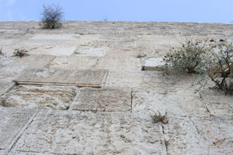 Kaddish