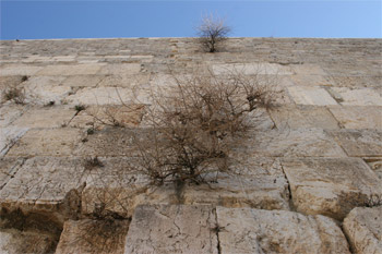 Western Wall